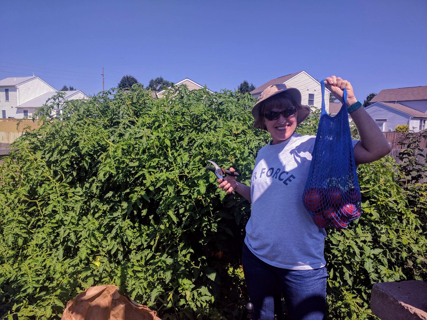 killer tomatoes