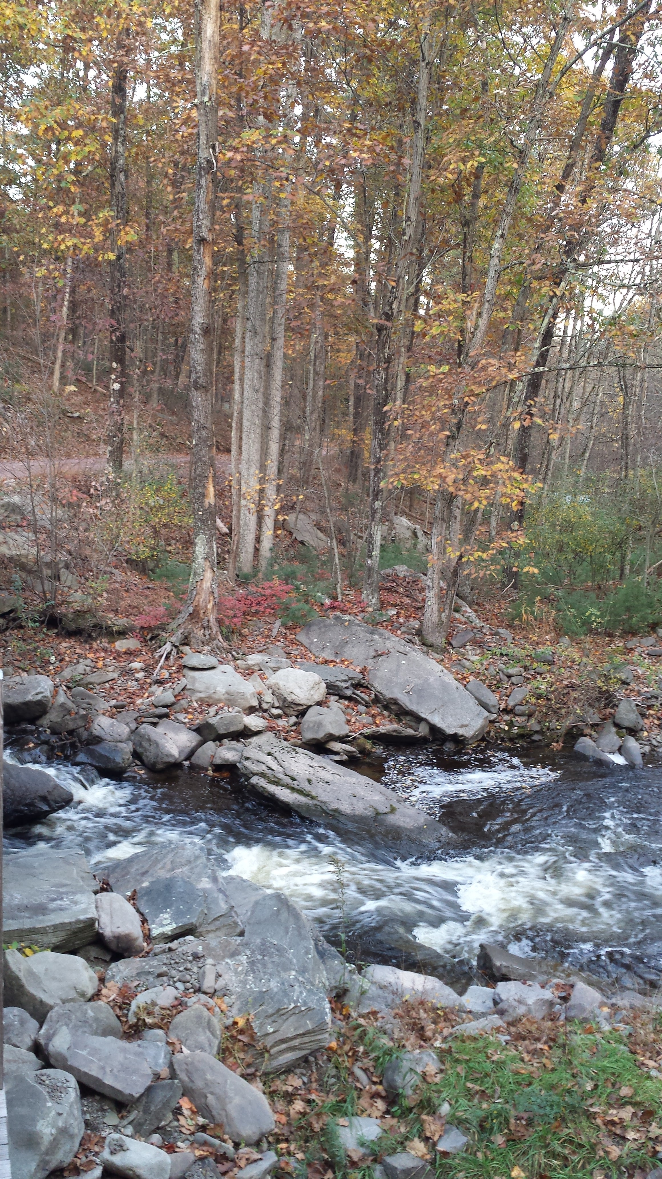 20141017_1746201
