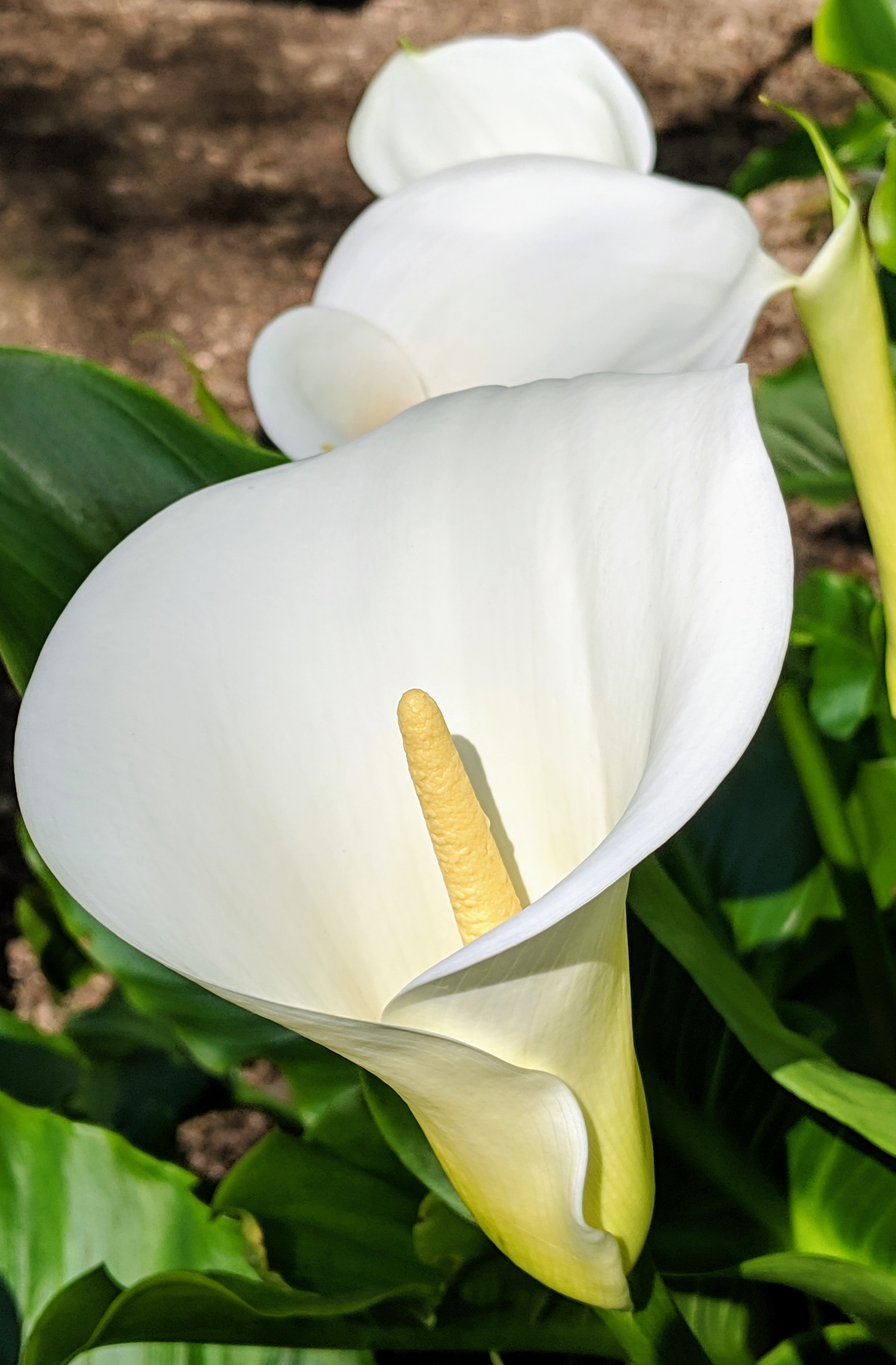 img_20190321_105809_1