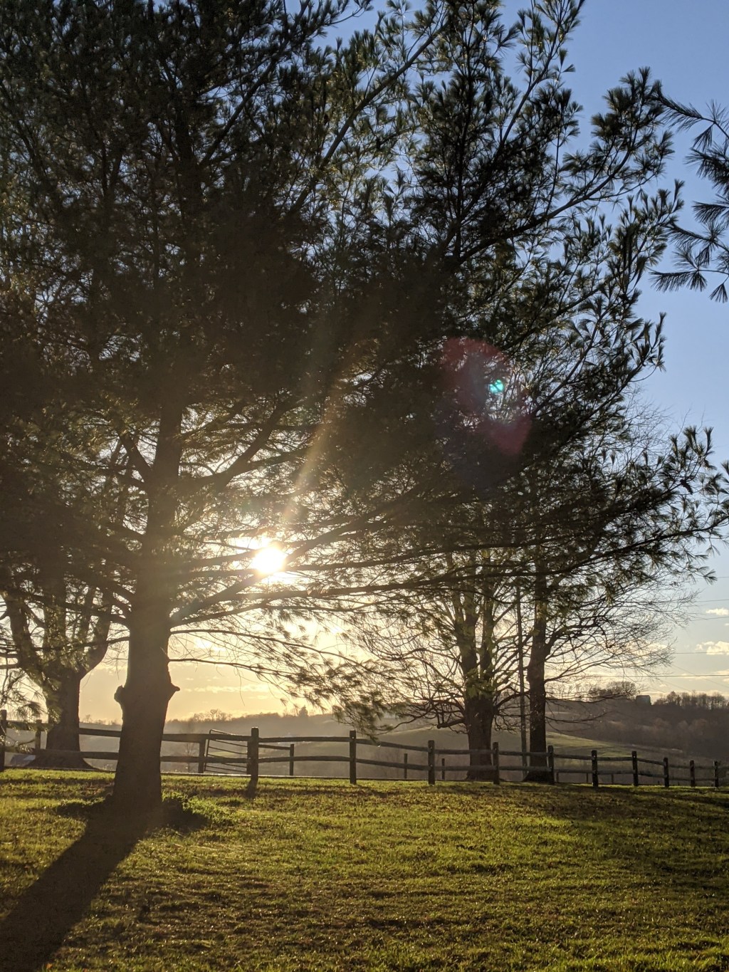 The land of chocolate, cheese, horses, and&nbsp;buggies