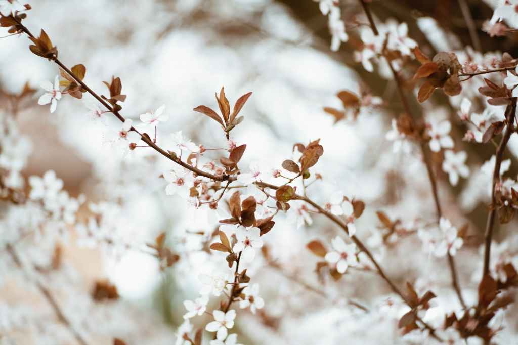 Spring in my step